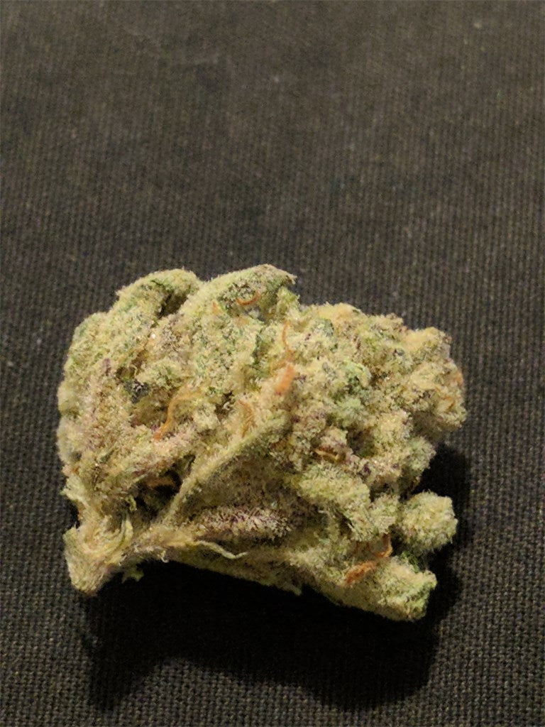 White Slipper marijuana strain flower with pepper and spicy/herbal flavor and talkative / energetic effects - Rare Harvest hybrid