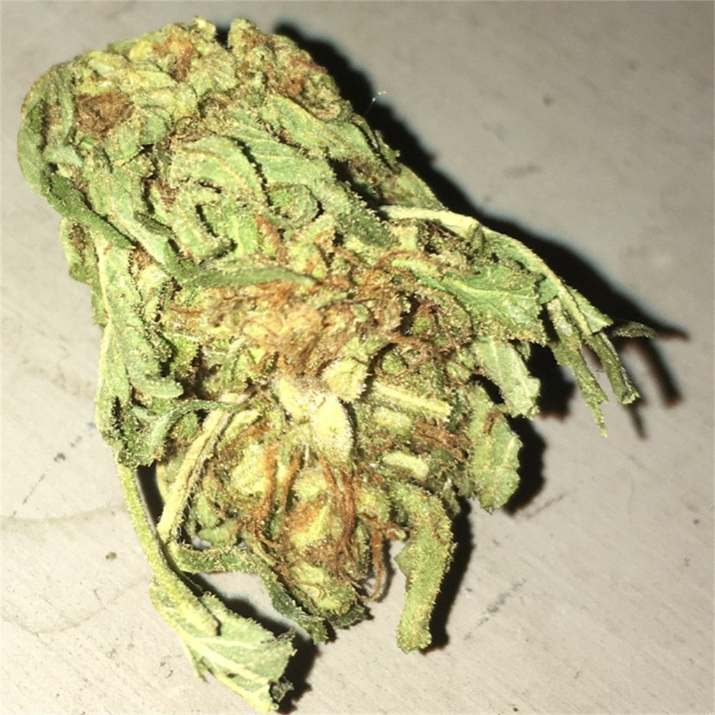 White Strawberry marijuana strain flower with lavender and strawberry flavor and focused / happy effects - Rare Harvest hybrid
