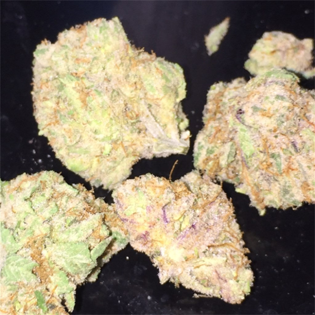 White Urkle marijuana strain flower with pine and earthy flavor and relaxed / happy effects - Rare Harvest hybrid