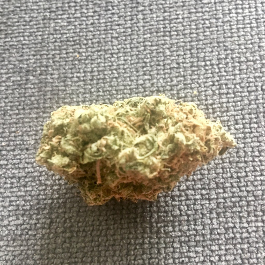 White Walker Kush marijuana strain flower with chestnut and earthy flavor and focused / uplifted effects - Rare Harvest hybrid