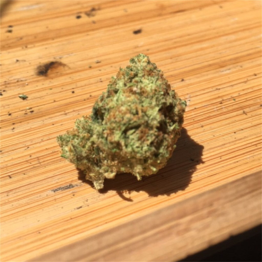 Willie Nelson marijuana strain flower with pepper and earthy flavor and creative / uplifted effects - Rare Harvest sativa