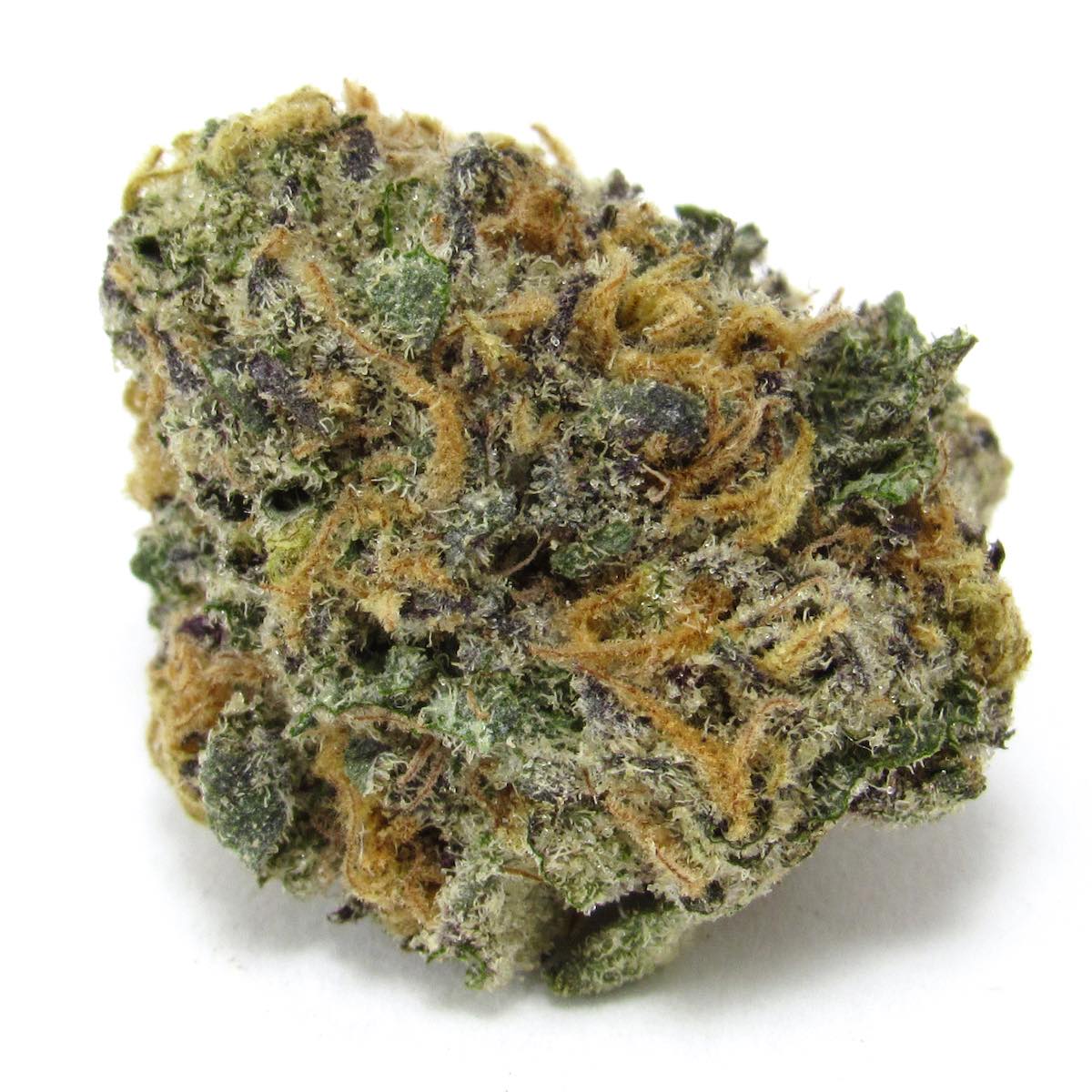 Dark Web marijuana strain flower with cheese and blue cheese flavor and energetic / focused effects - Rare Harvest hybrid
