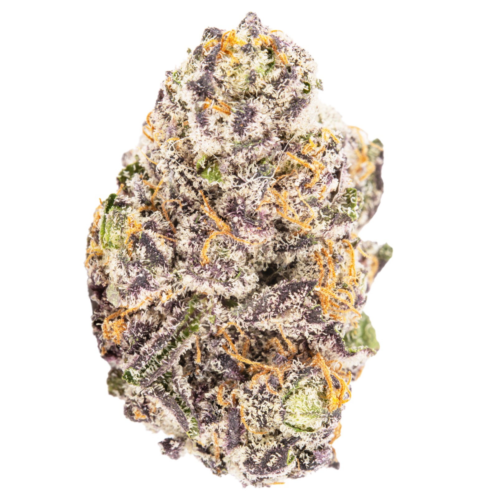 800 Club marijuana strain flower with blueberry and ammonia flavor and creative / energetic effects - Rare Harvest hybrid