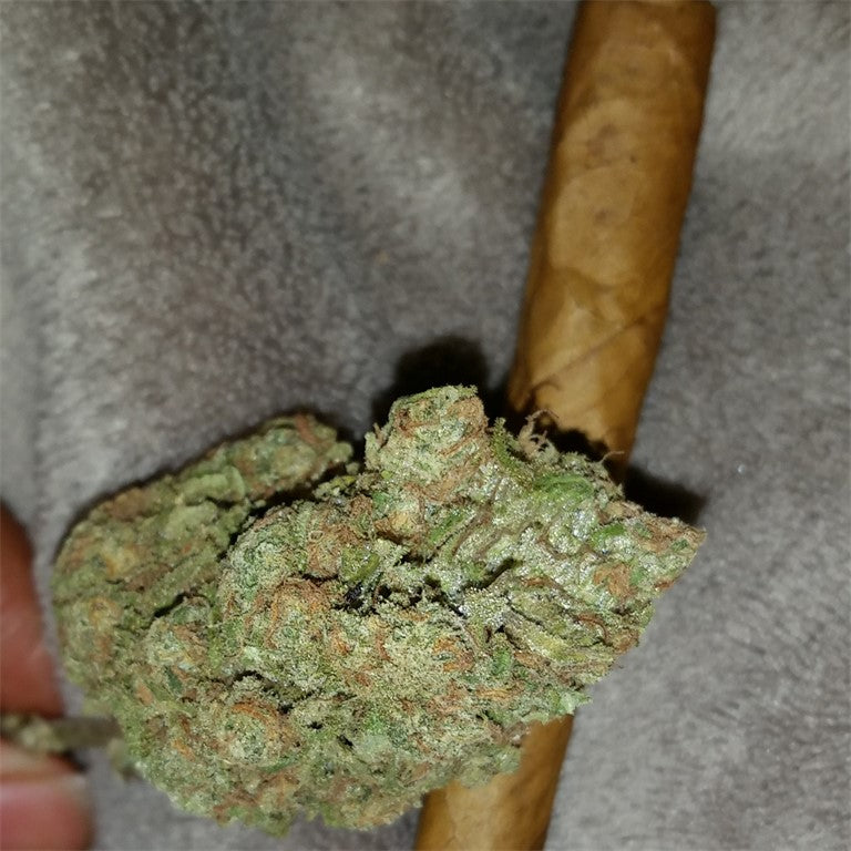 XXX 420 marijuana strain flower with honey and berry flavor and aroused / talkative effects - Rare Harvest indica