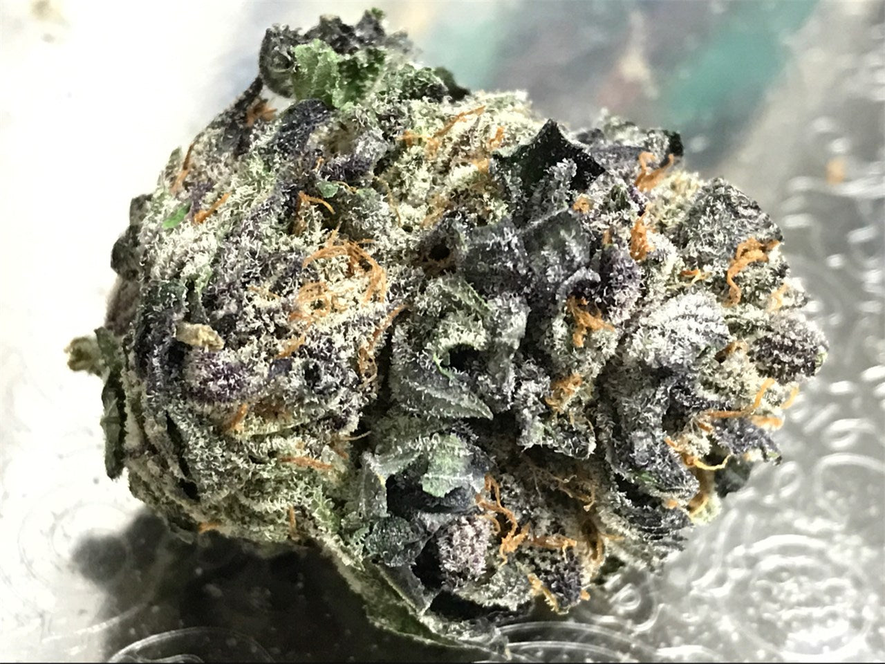 XXX OG marijuana strain flower with woody and earthy flavor and sleepy / relaxed effects - Rare Harvest indica