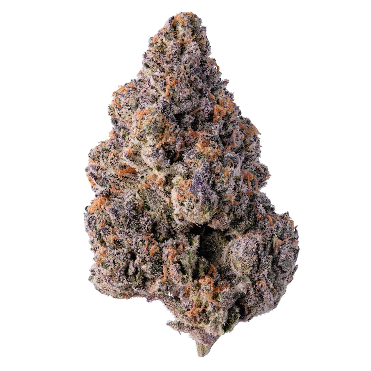 Violet Sky marijuana strain flower with violet and lavender flavor and euphoric / relaxed effects - Rare Harvest hybrid