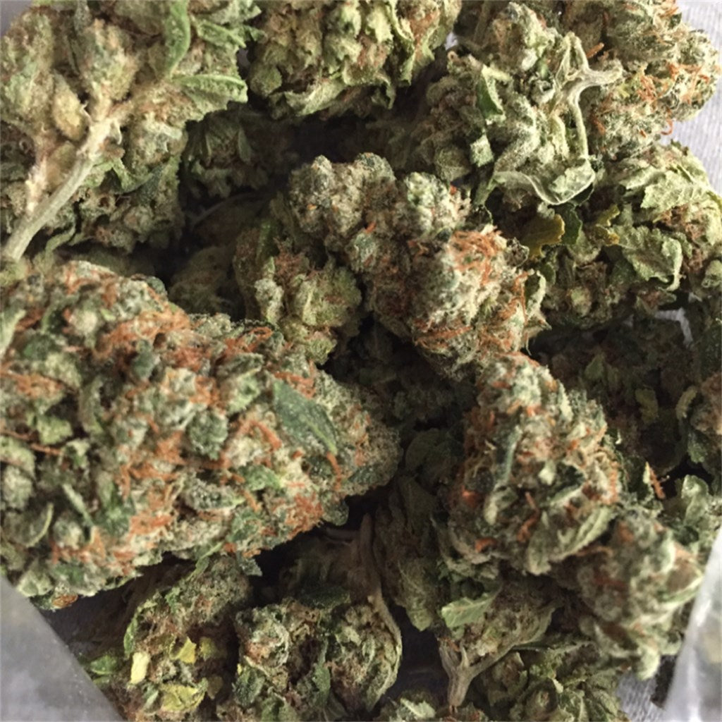 Yeti OG marijuana strain flower with cheese and earthy flavor and relaxed / sleepy effects - Rare Harvest indica
