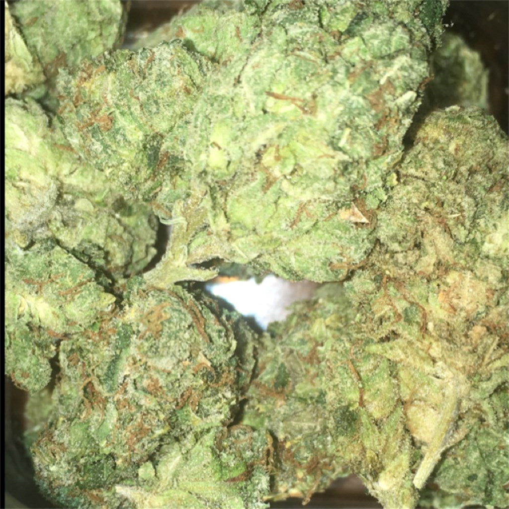 Yoda OG marijuana strain flower with woody and earthy flavor and sleepy / relaxed effects - Rare Harvest indica
