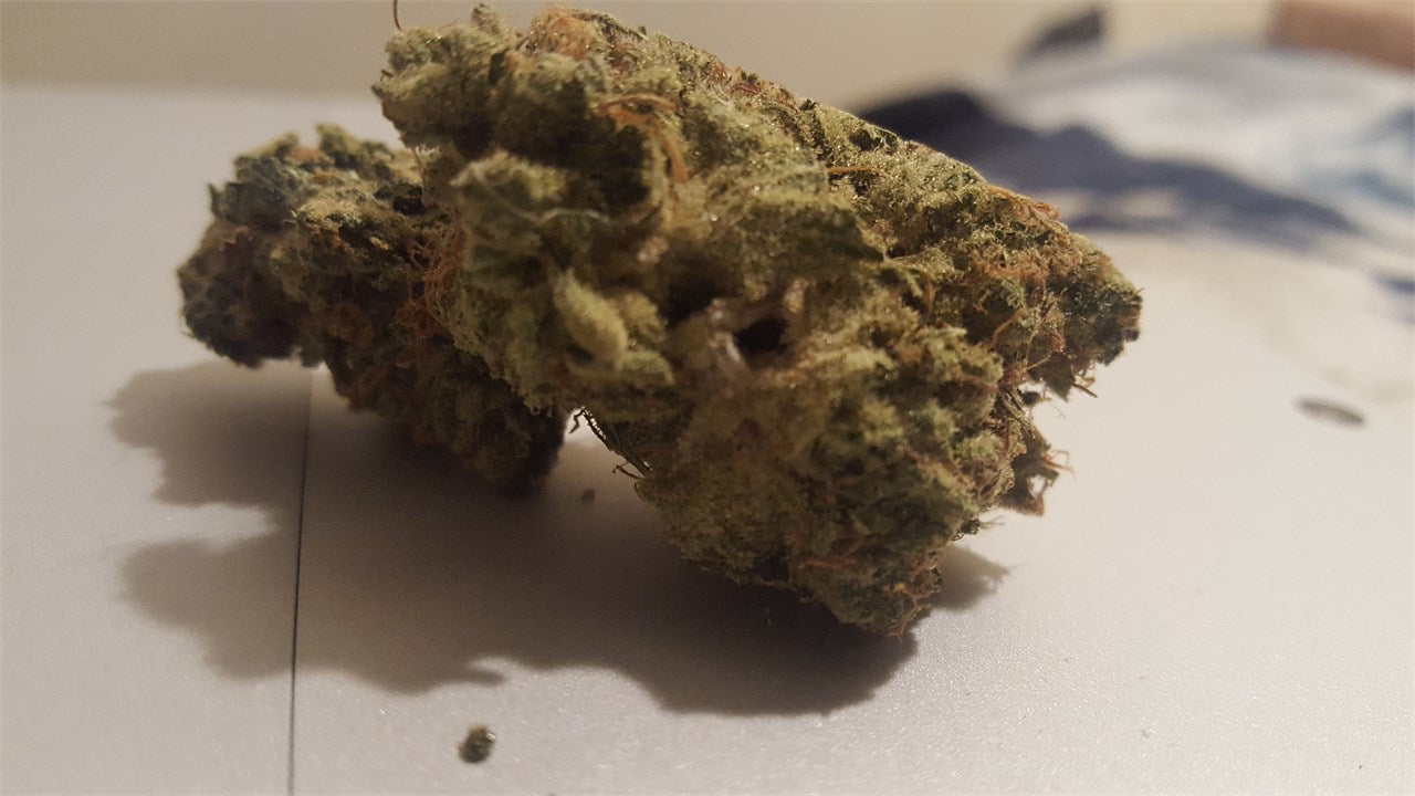 Zelly’s Gift marijuana strain flower with lime and lemon flavor and energetic / uplifted effects - Rare Harvest sativa