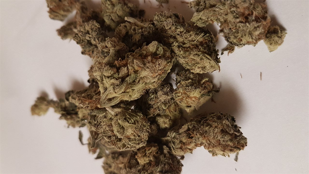 Zombie OG marijuana strain flower with lavender and pine flavor and sleepy / relaxed effects - Rare Harvest indica