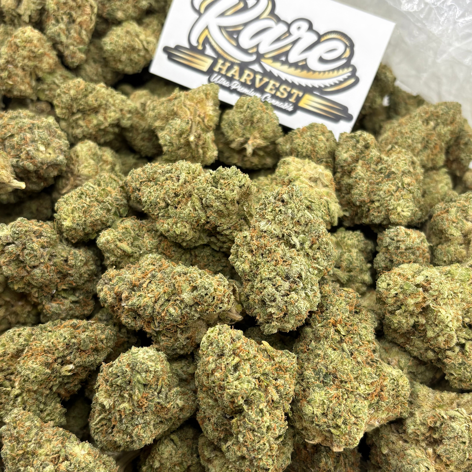 Green Crack