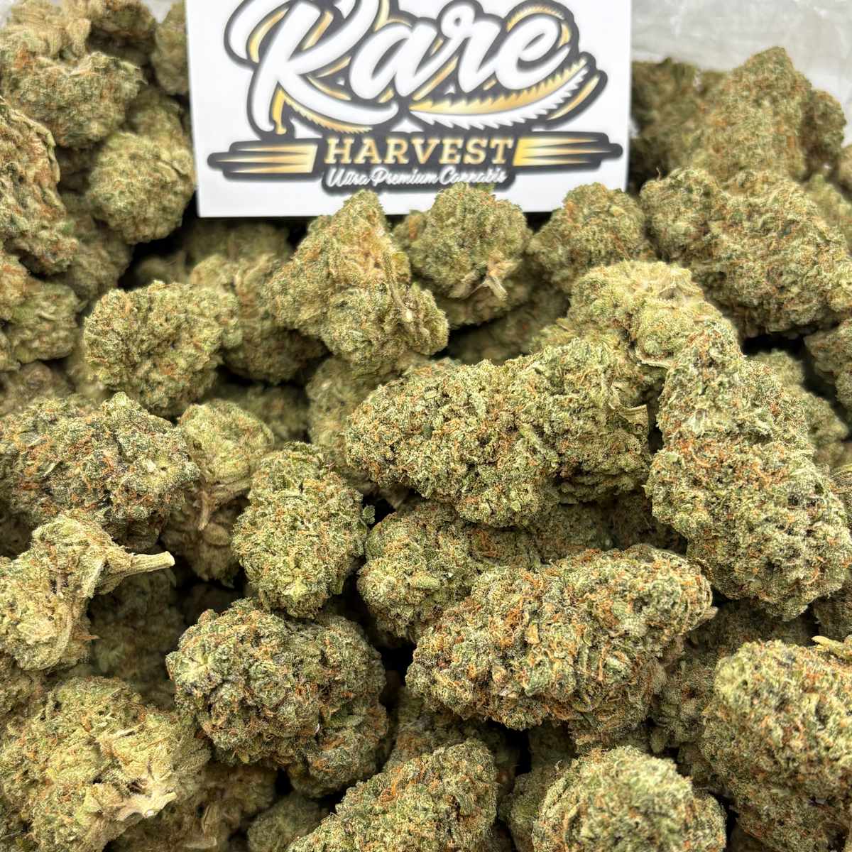 Green Crack