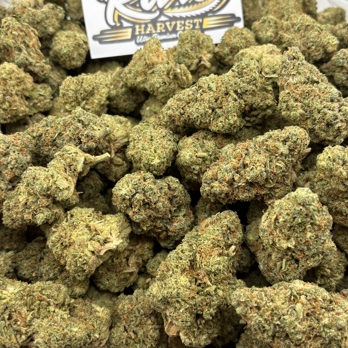 Green Crack