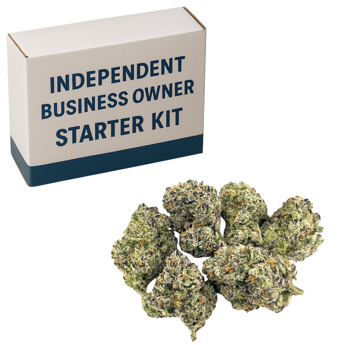 Independent Business Owner Starter Kit