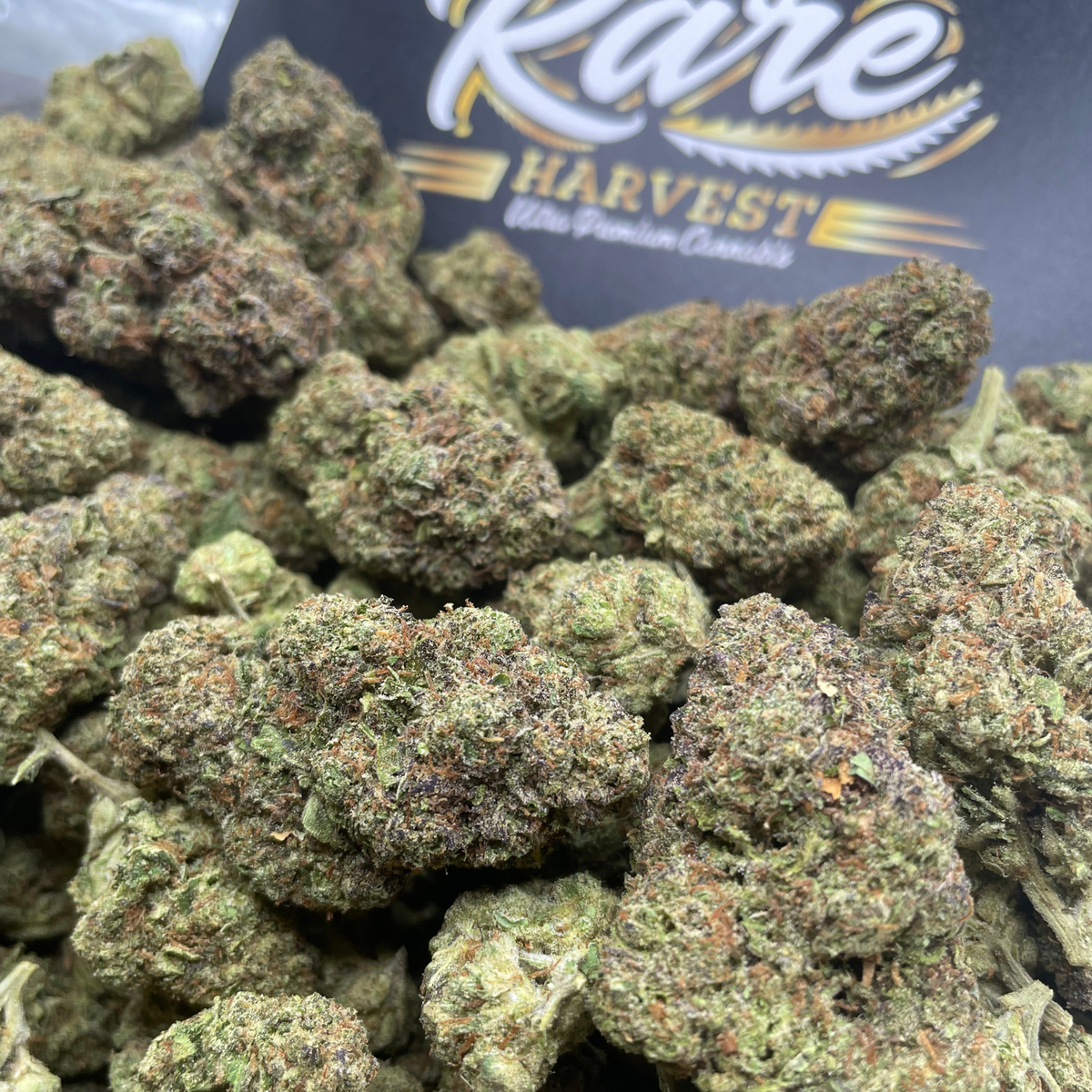 King Louis XIII