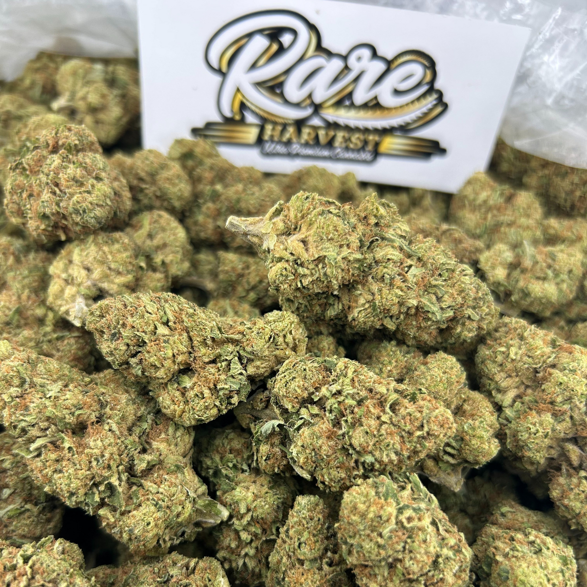 Panama Red