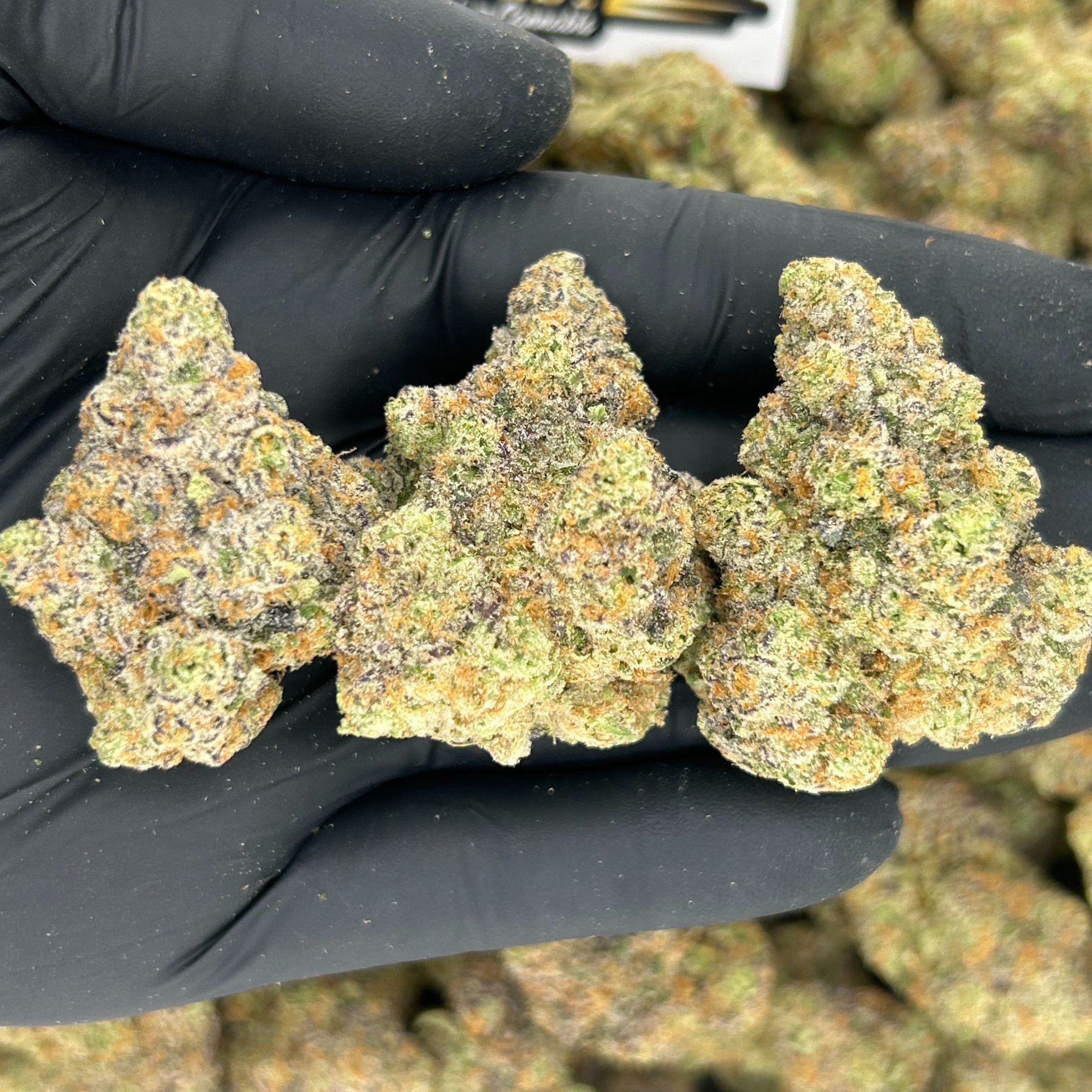 Pineapple Fruz