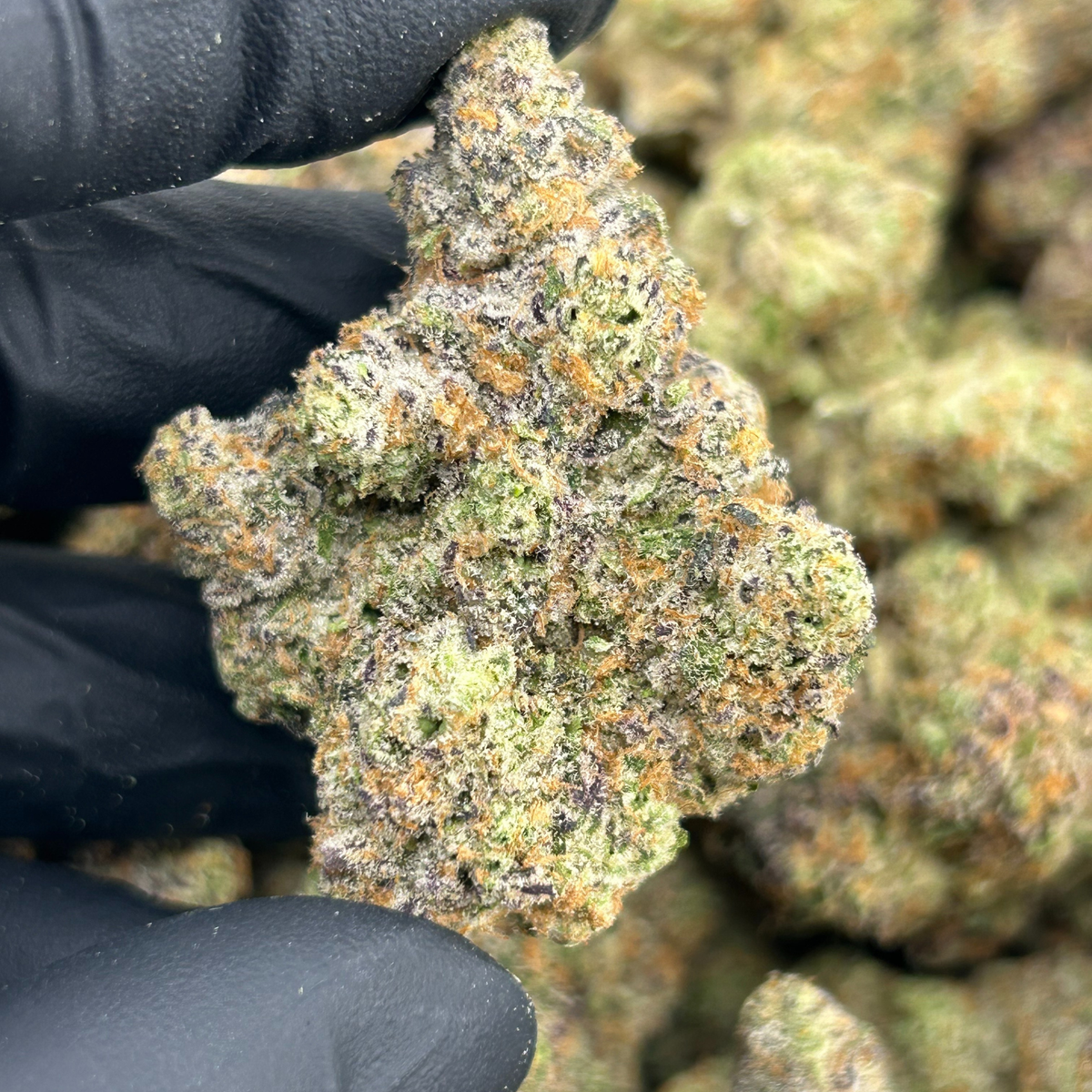 Pineapple Fruz