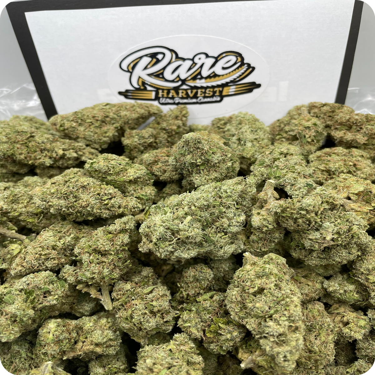 Acapulco Gold sativa marijuana macro shot of bud structure and crystal formation