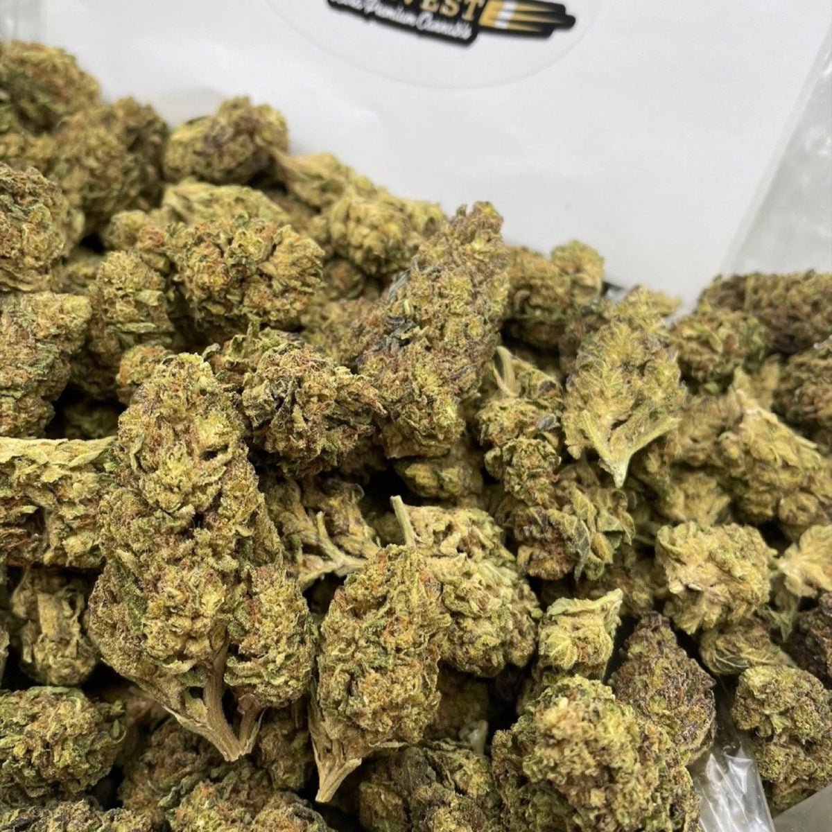 AK-47 marijuana flower close-up showing bud detail by Rare Harvest