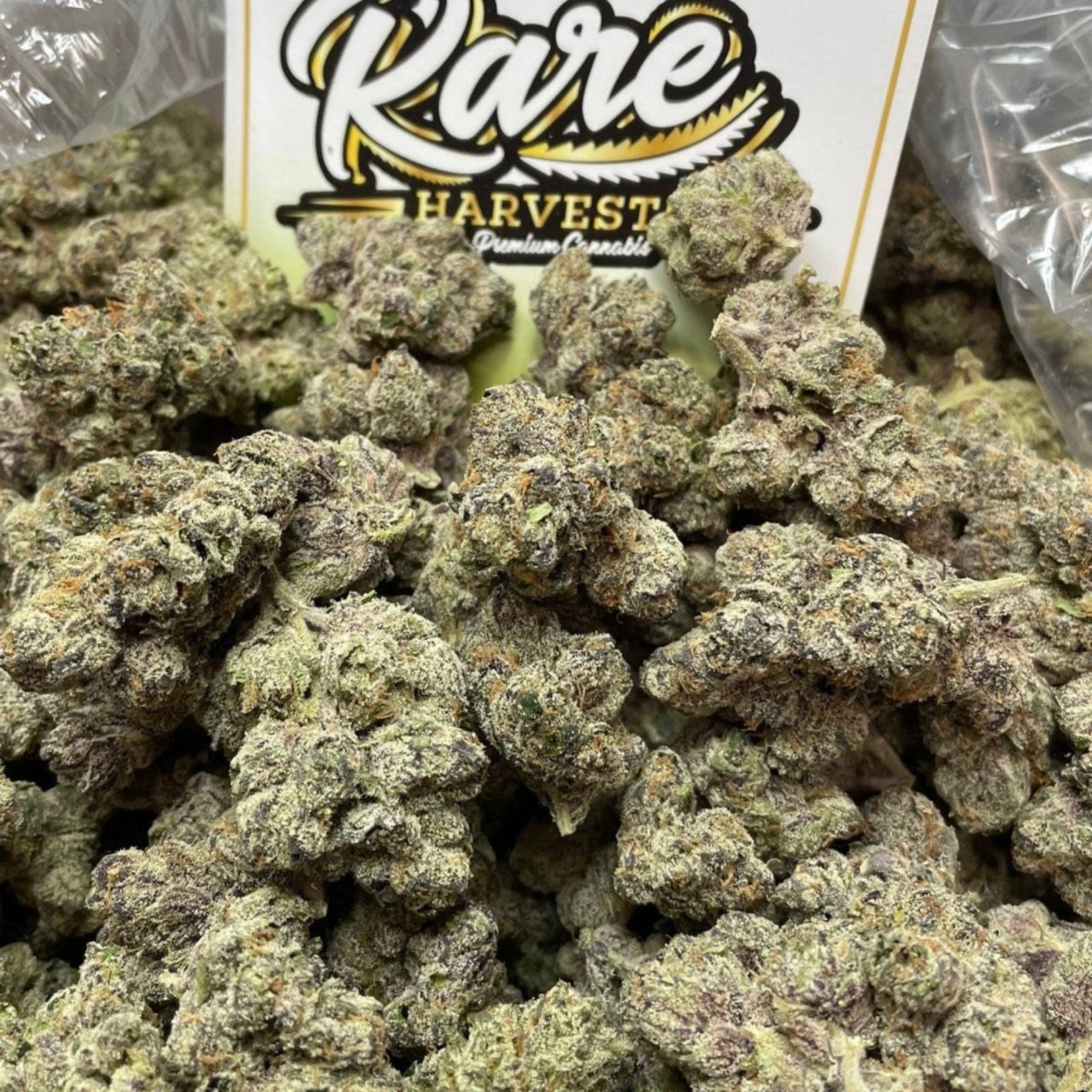 Apple Fritter marijuana strain - exotic hybrid weed buds by Rare Harvest