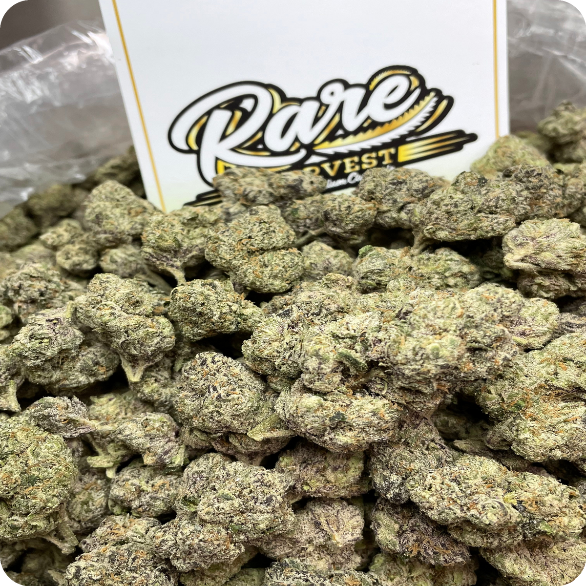 Banana Lemonade hybrid exotic marijuana close-up showing dense trichome coverage