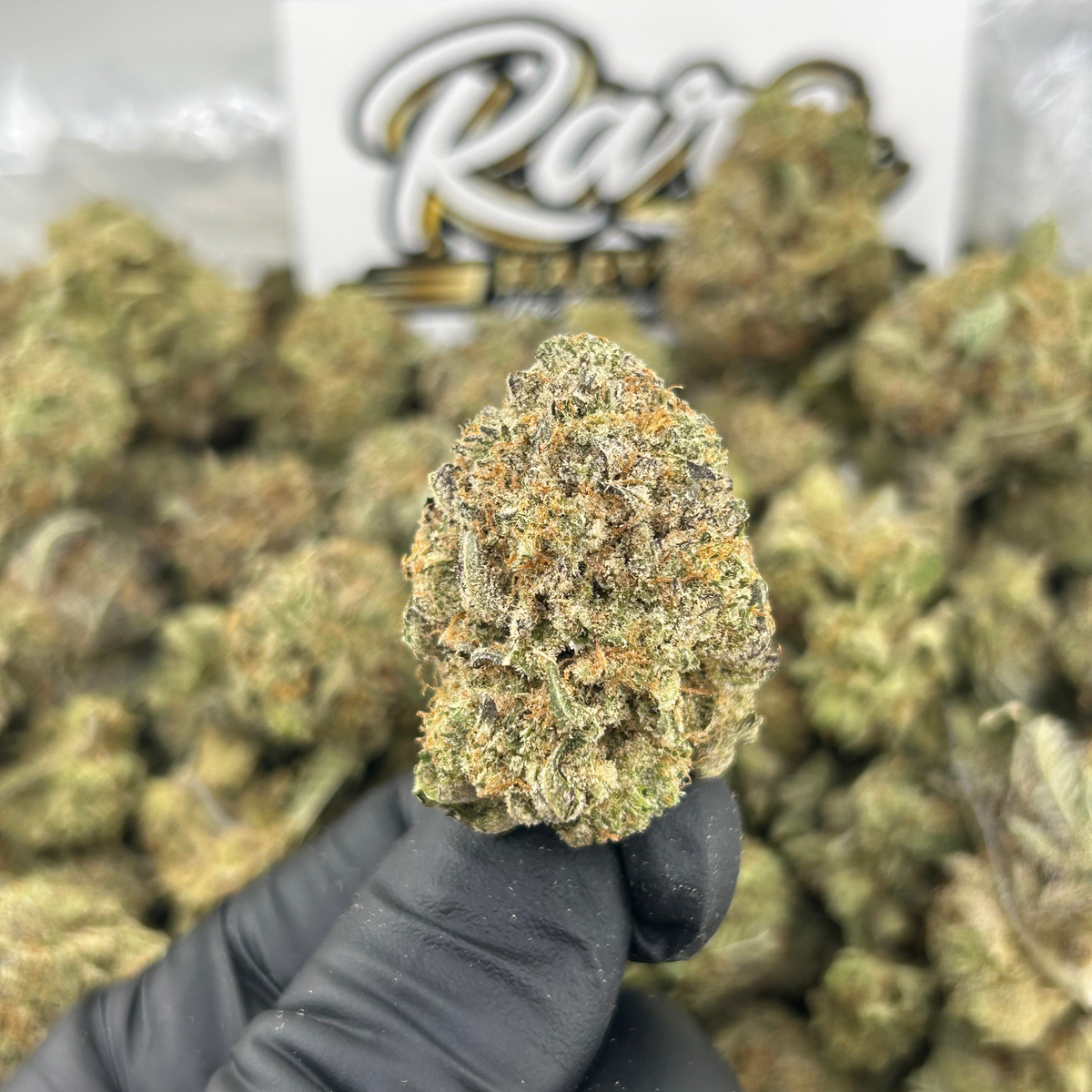 Bubba Kush indica marijuana close-up showing dense trichome coverage