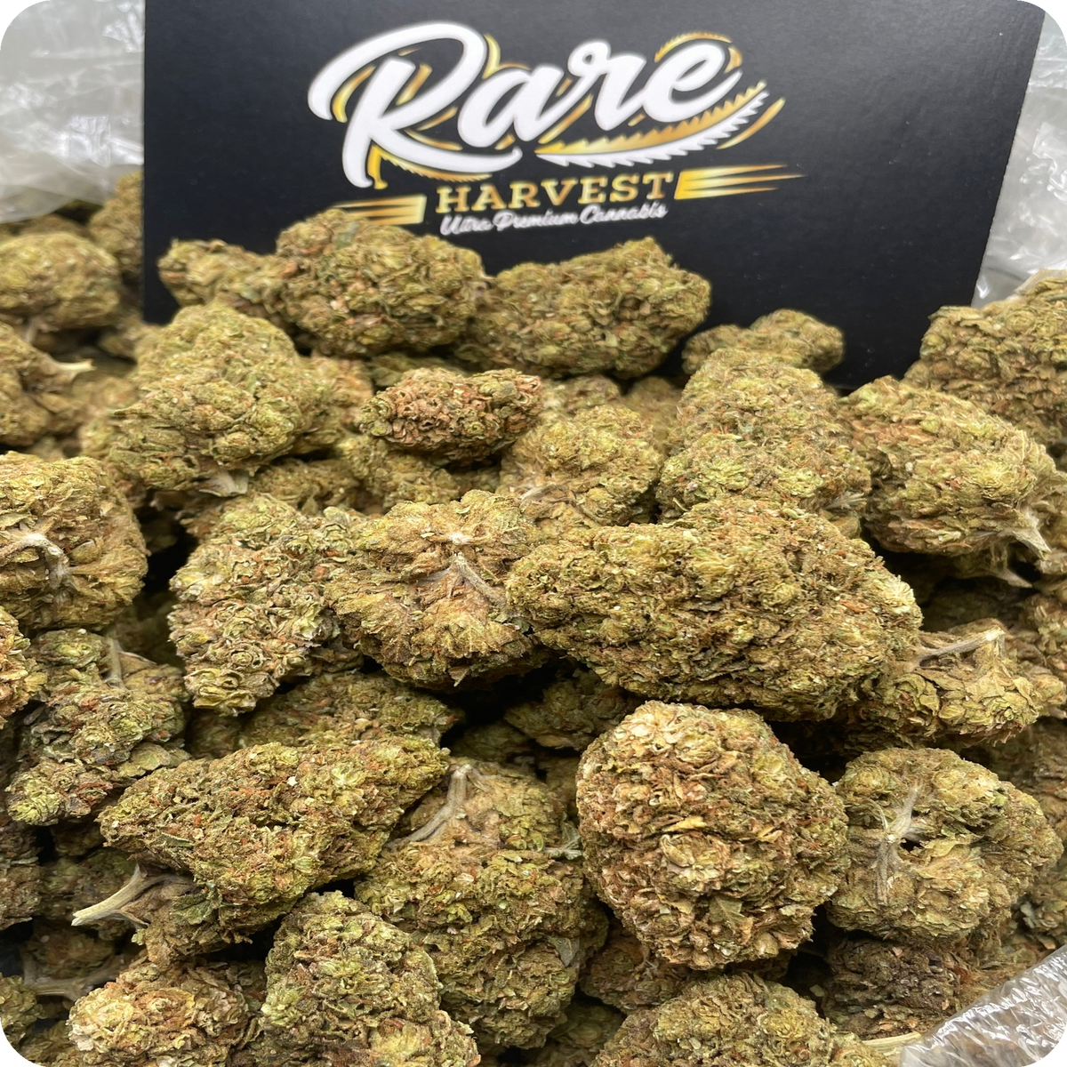 California Orange hybrid marijuana top view showing color and pistil detail