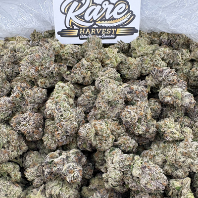 Ice Cream Gelato marijuana strain - exotic hybrid weed buds by Rare Harvest