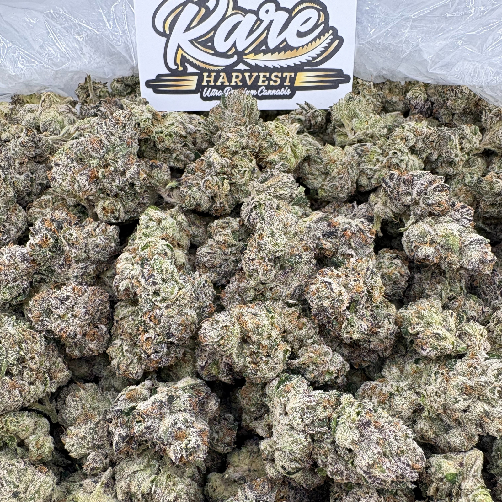 Ice Cream Gelato marijuana strain - exotic hybrid weed buds by Rare Harvest