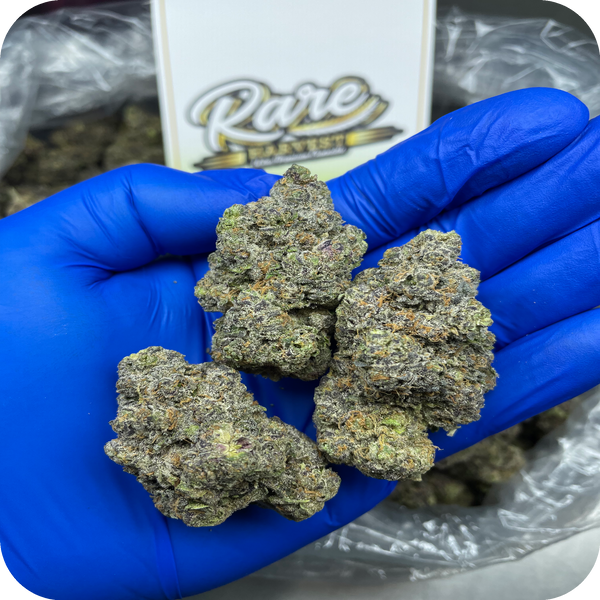 Buy Jelly Runtz Online | Ultra Rare Hybrid Weed Strain - Rare Harvest
