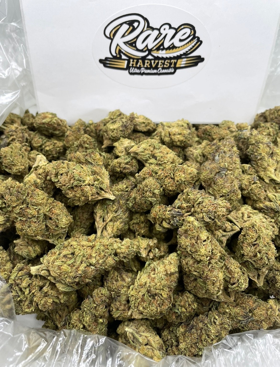 Laughing Buddha sativa marijuana close-up showing dense trichome coverage