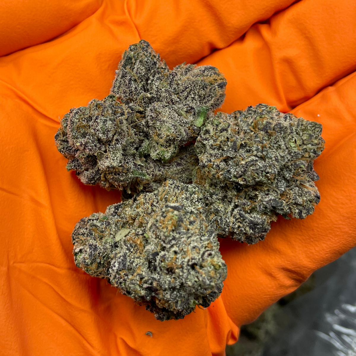 Lemon Cherry Gelato indica marijuana macro shot of bud structure and crystal formation