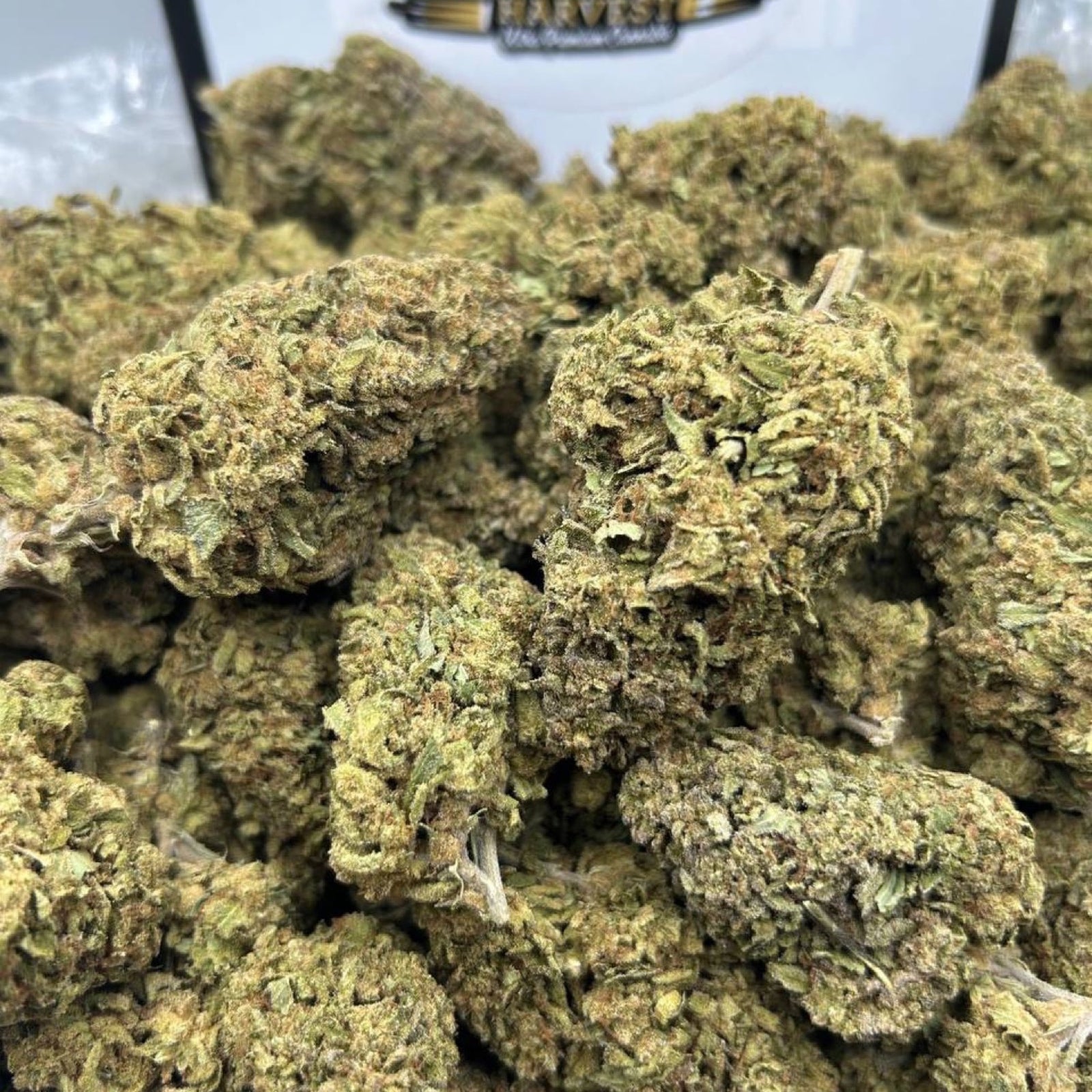 Lemon Haze marijuana strain - premium greenhouse sativa weed buds by Rare Harvest