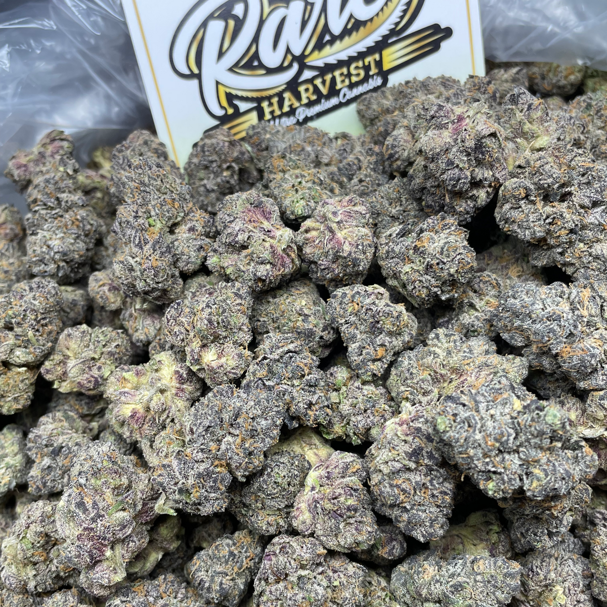 Mango Starburst Gelato hybrid ultra rare marijuana close-up showing dense trichome coverage
