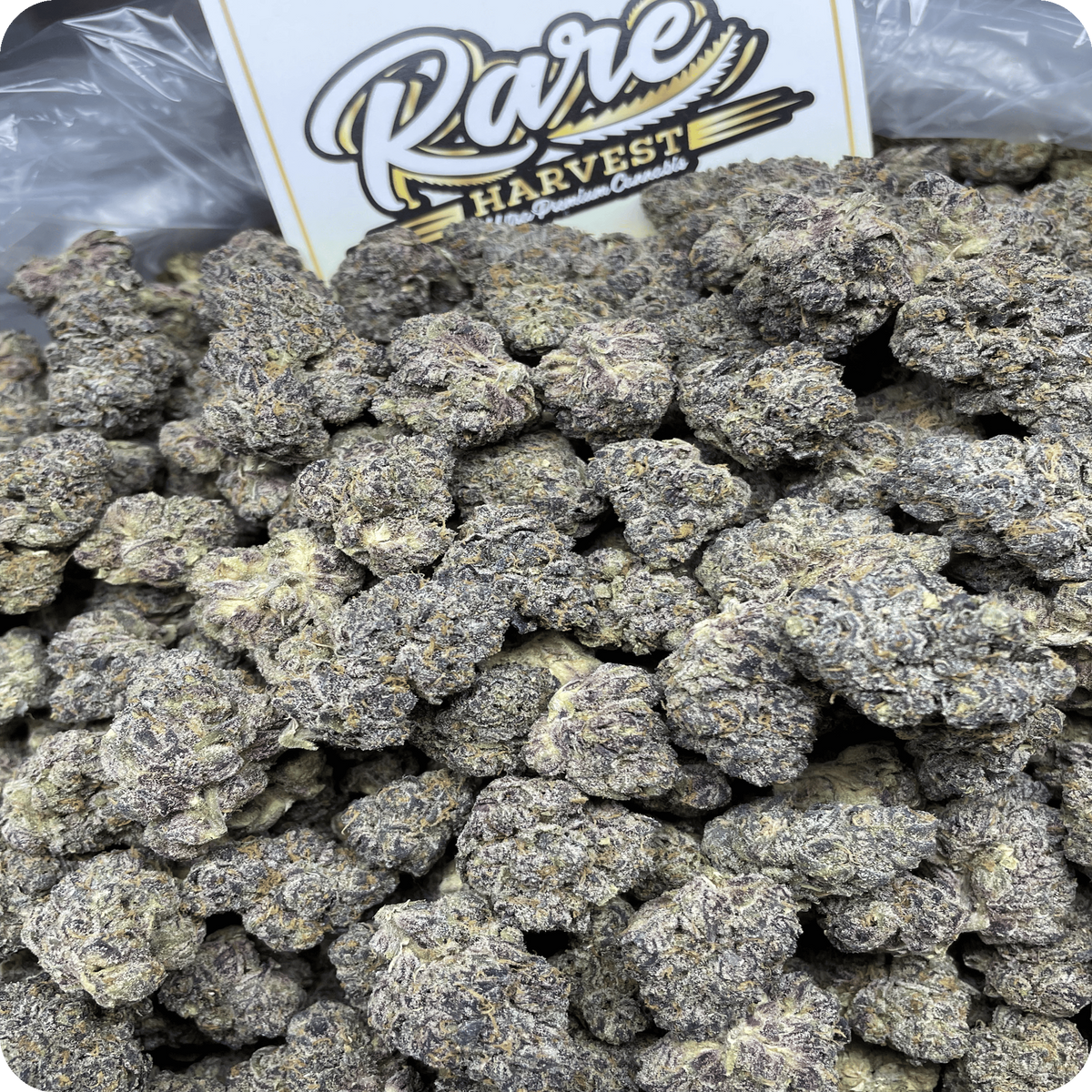 Mango Starburst Gelato hybrid ultra rare marijuana macro shot of bud structure and crystal formation