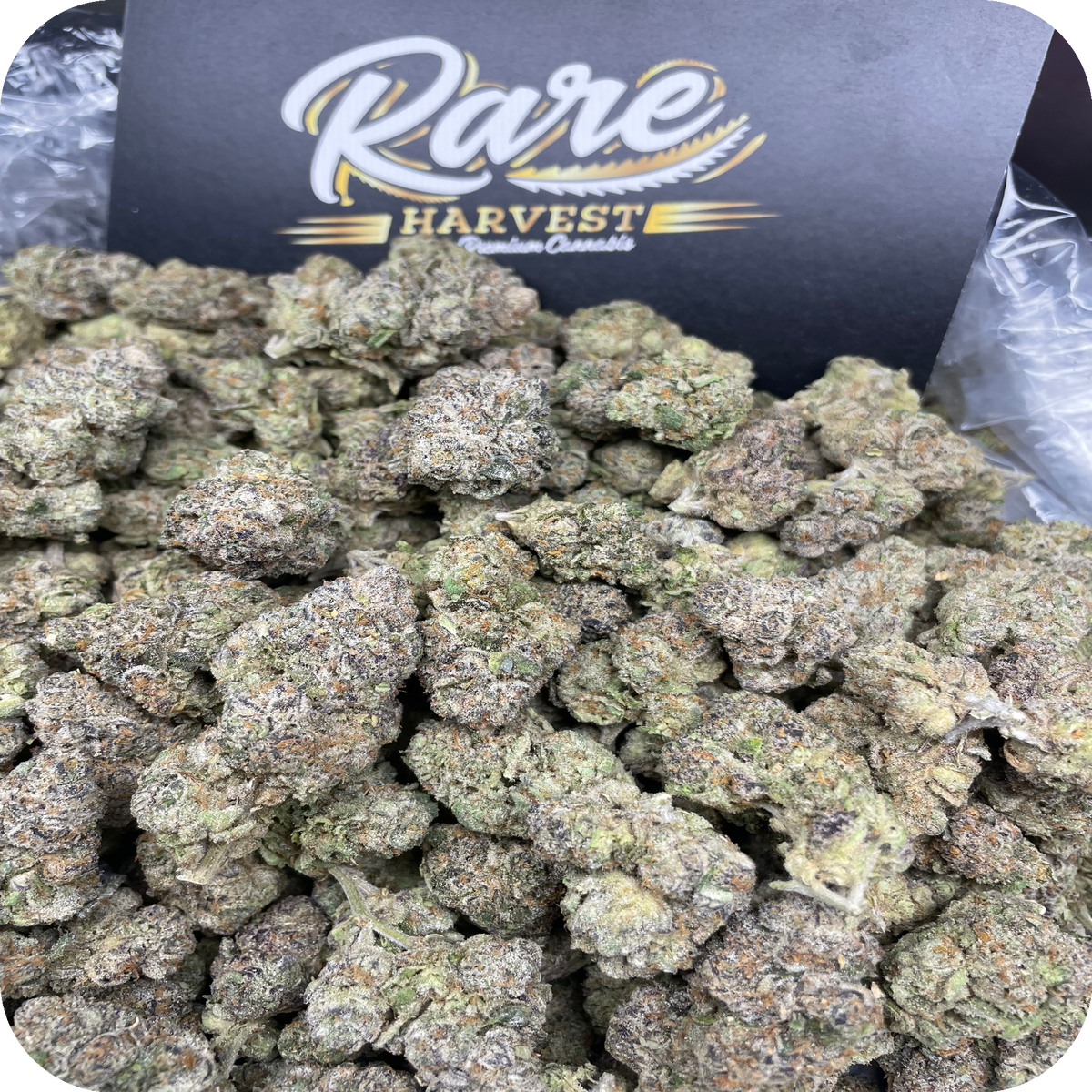 Marshmallow Runtz hybrid ultra rare marijuana macro shot of bud structure and crystal formation
