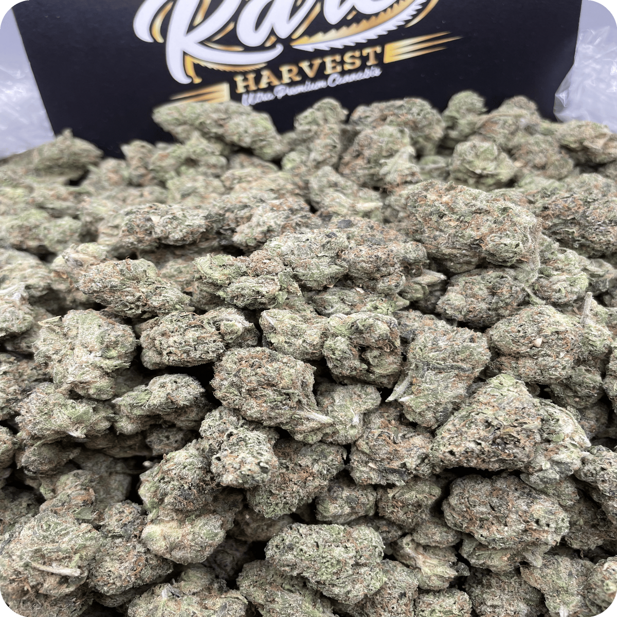 Martian Candy exotic marijuana top view showing color and pistil detail