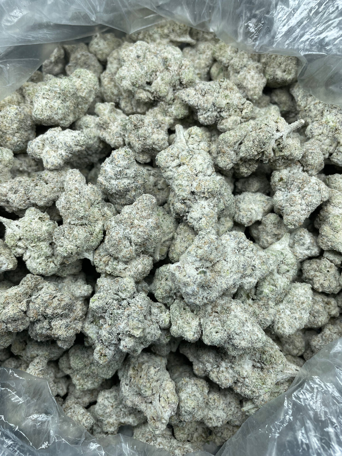 Snowballs THCA marijuana concentrate detail view of product quality