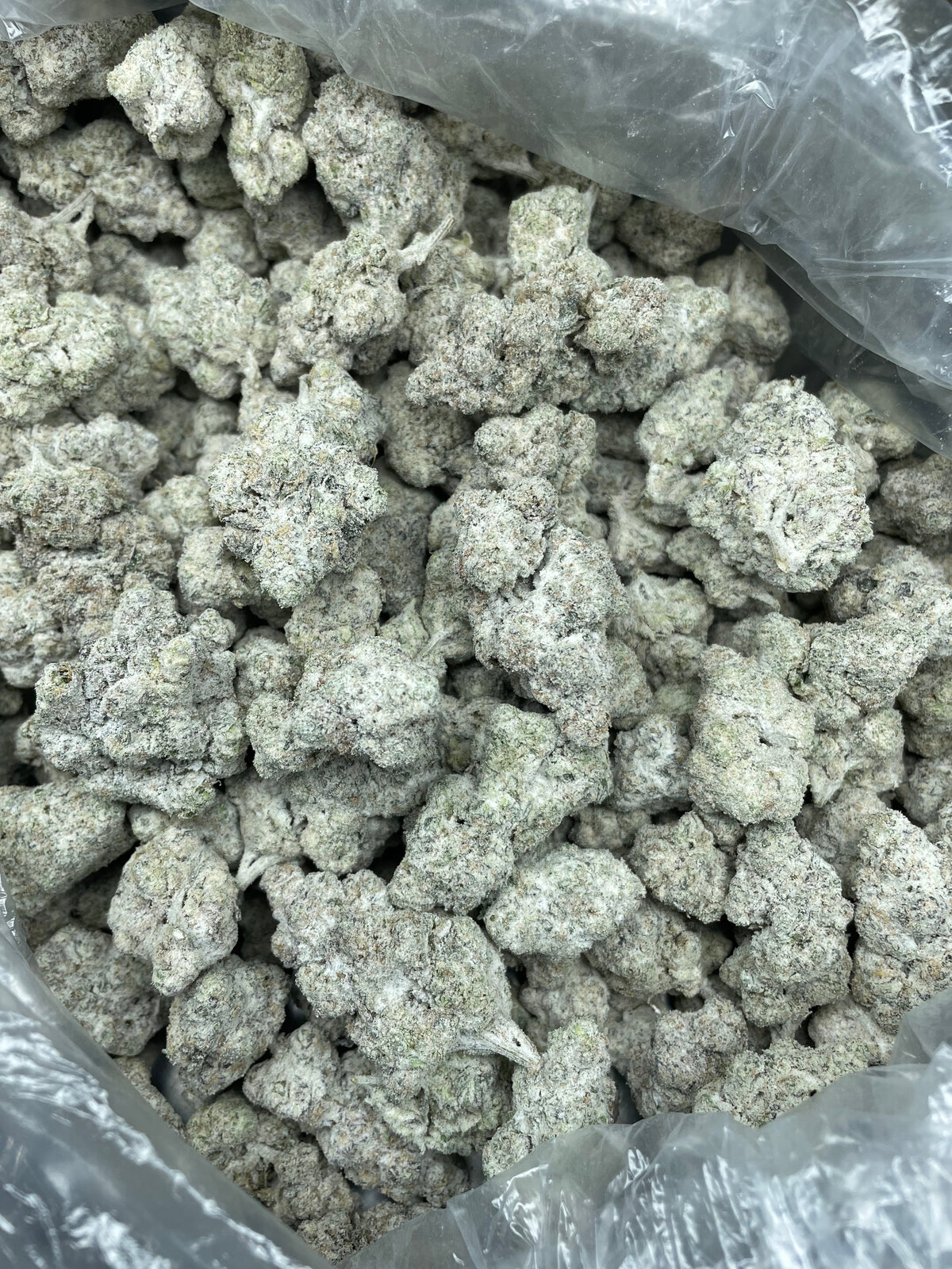 Snowballs THCA marijuana flower concentrate alternate angle product shot