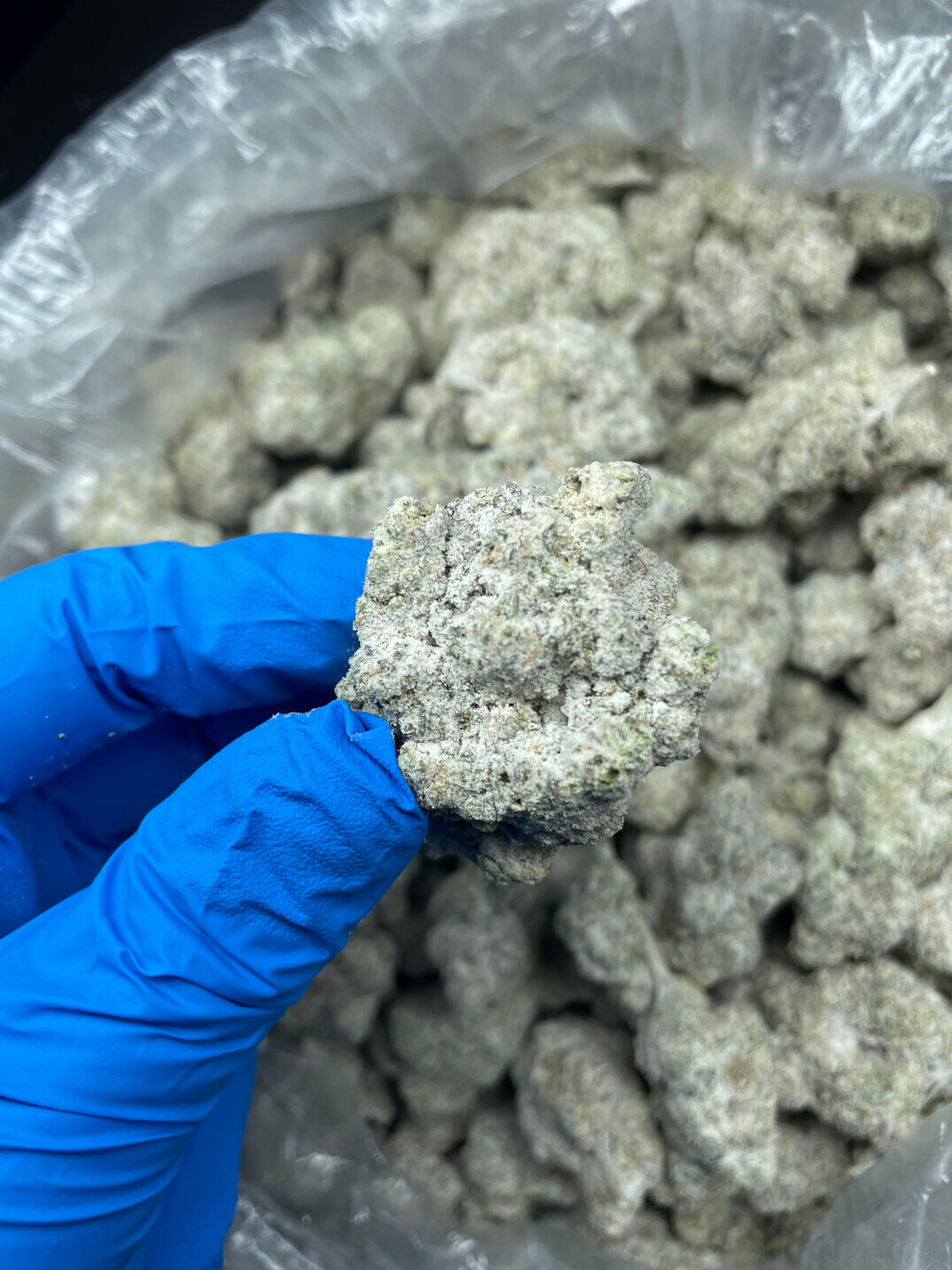 Snowballs THCA marijuana concentrate packaging and product presentation