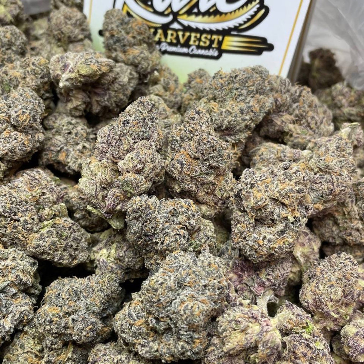 Sour Animal Cookies marijuana strain - ultra rare hybrid weed buds by Rare Harvest