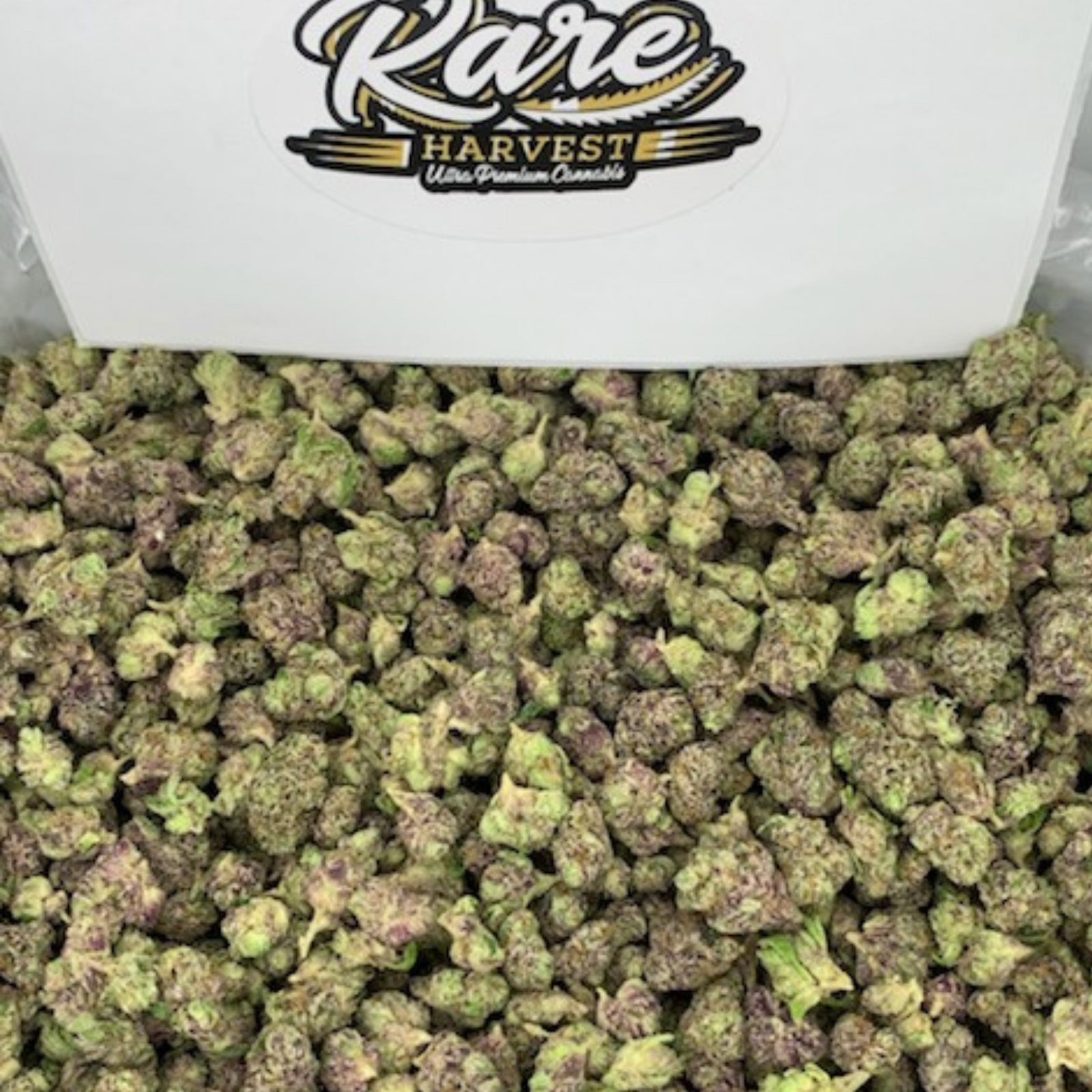 Sour Animal Cookies small nugs marijuana - hybrid weed buds by Rare Harvest
