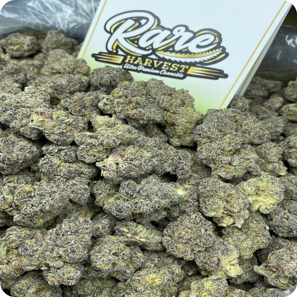 Sour Gelonade Diesel sativa marijuana close-up showing dense trichome coverage