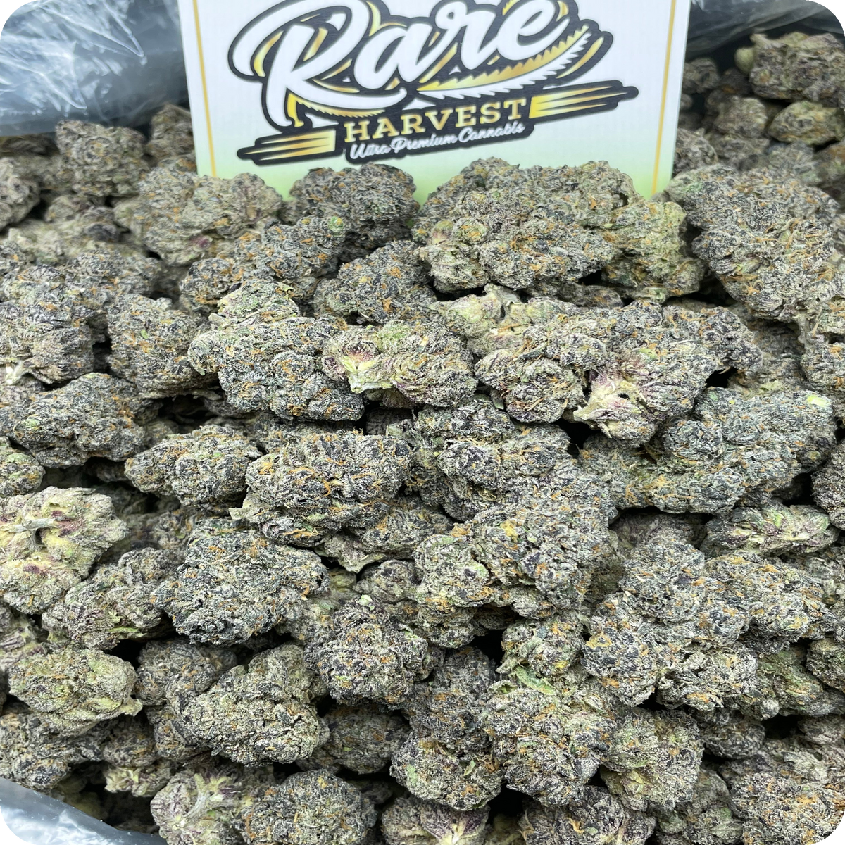 Sour Gelonade Diesel sativa marijuana macro shot of bud structure and crystal formation