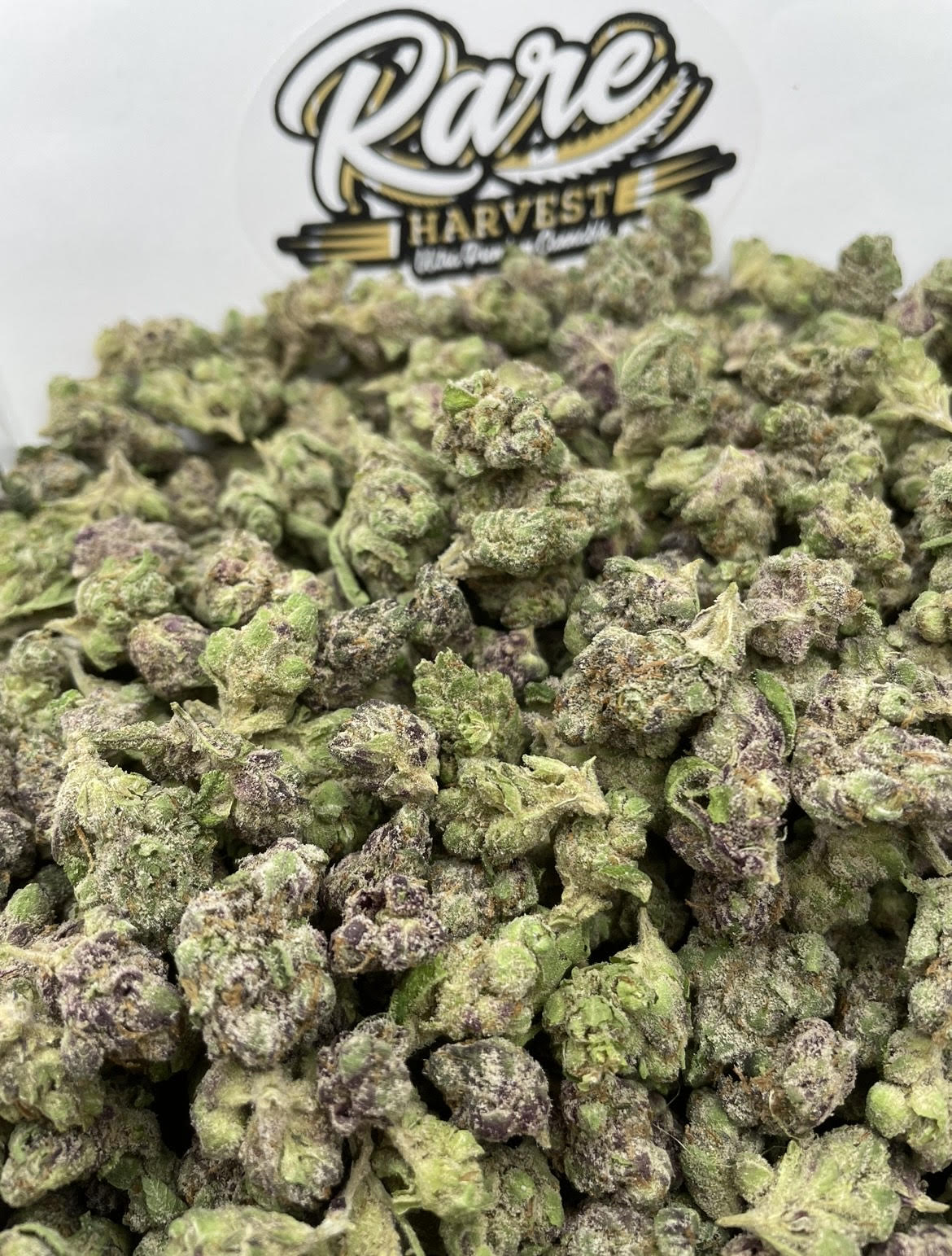 Sour Gelonade Diesel small nugs marijuana - sativa weed buds by Rare Harvest