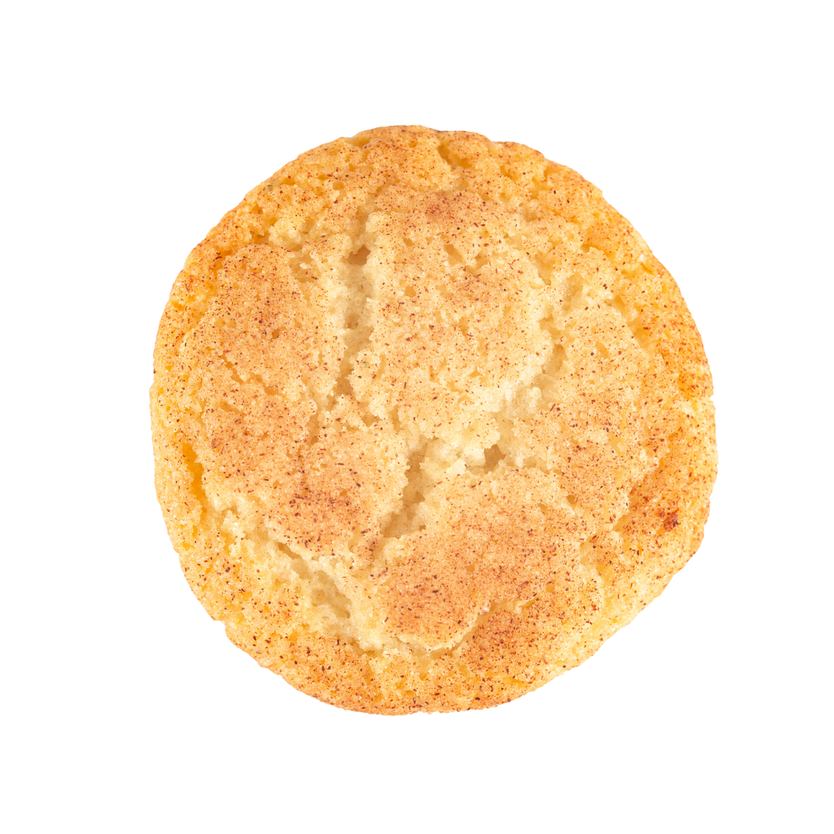 THC Snickerdoodle Cookie - THC marijuana edible by Rare Harvest